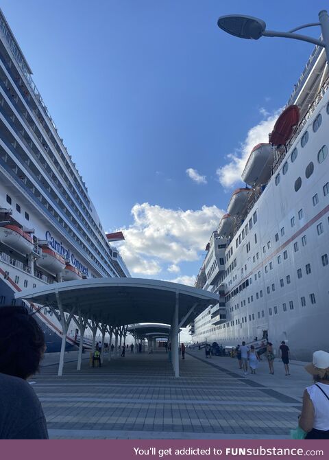 Two cruise ships