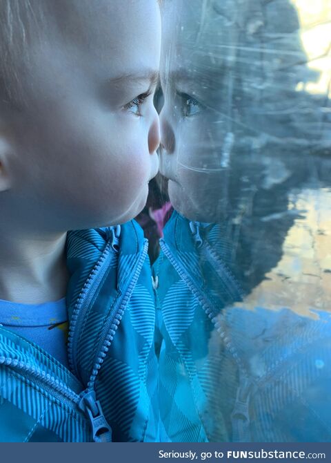 Day at the zoo