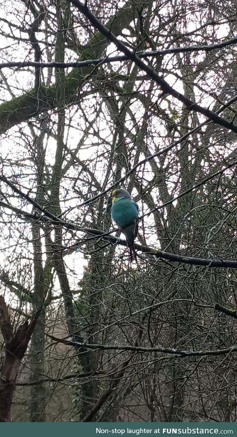 Found this little beaut on a walk today in Ireland