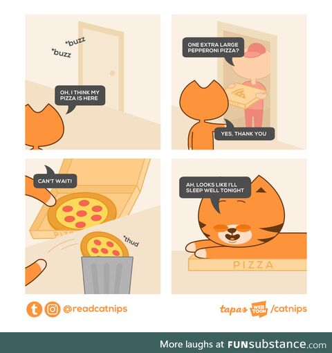 Catnips: Pizza box
