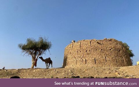 Share a random pic you took which turned out great