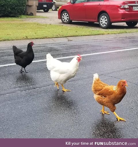 I took this picture in front of my house and it looks like the setup to a joke