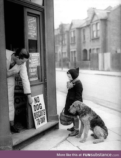 London, 1939. No dog biscuits today
