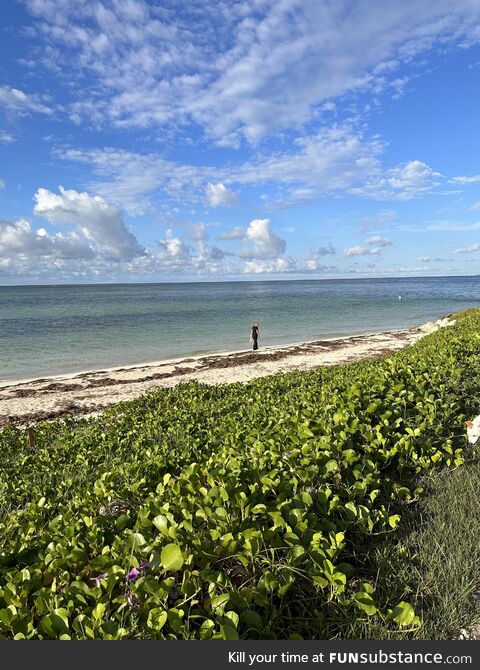 Wife picks up beach trash every morning on our walk