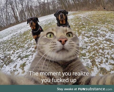 The moment you realize you f*cked up