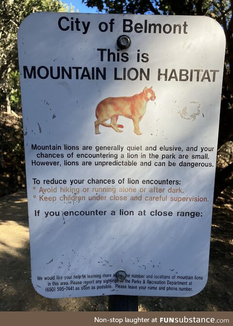 If you encounter a lion at close range: Don’t!
