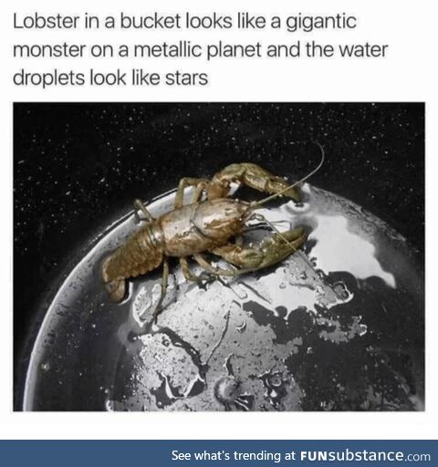 Lobstar, Divine Ruler of Crustaceans and Metal