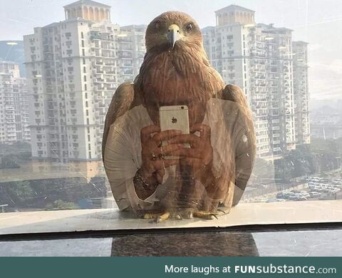 Perfect timing