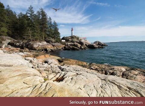 [OC] Lighthouse park view, Vancouver BC