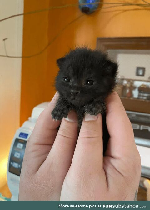 Tiny!