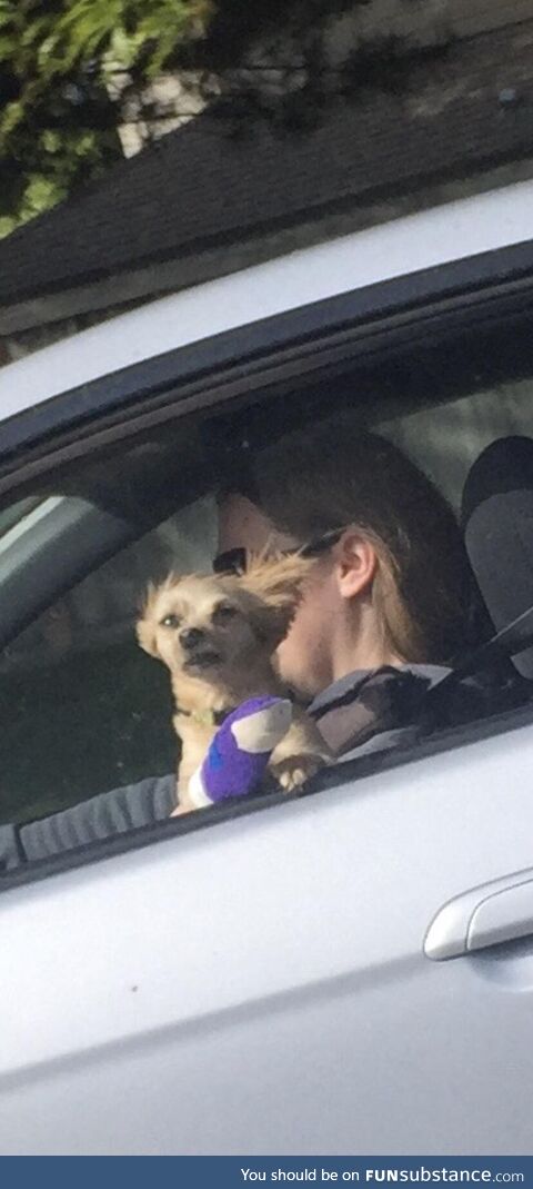 Speedy boi is having a ruff day