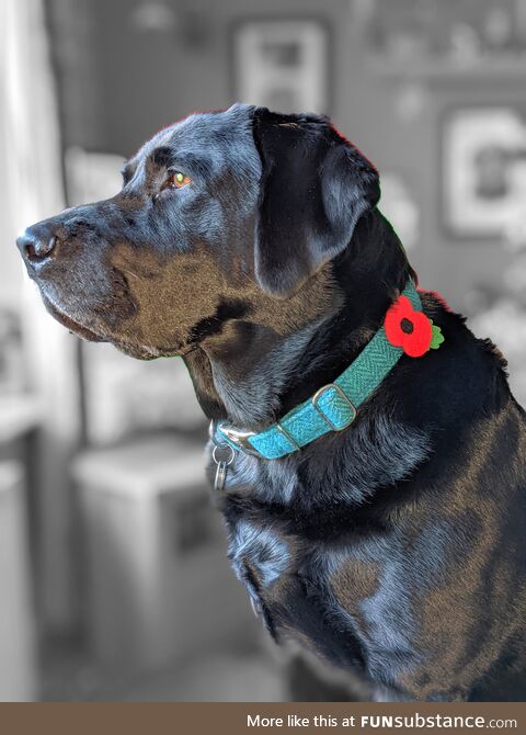 Billy. Nothing but love