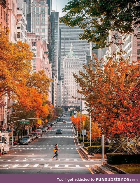 Autumn,new york,united states