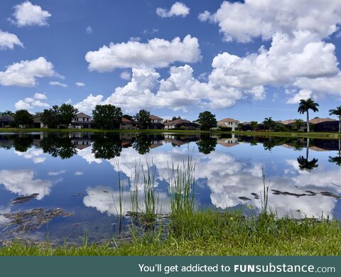 [OC] Venice, Florida. Shot on iPhone 13 pro