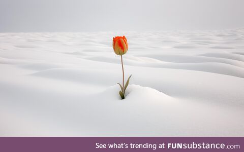 Whats the funny thing today