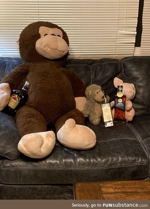 Quarantine with the boys