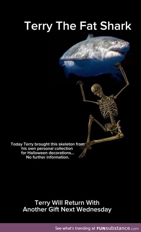 Spookposting '25 #9 - Seems Legit