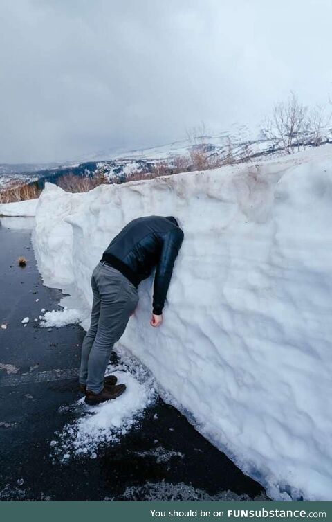 Don't worry... Spring's coming