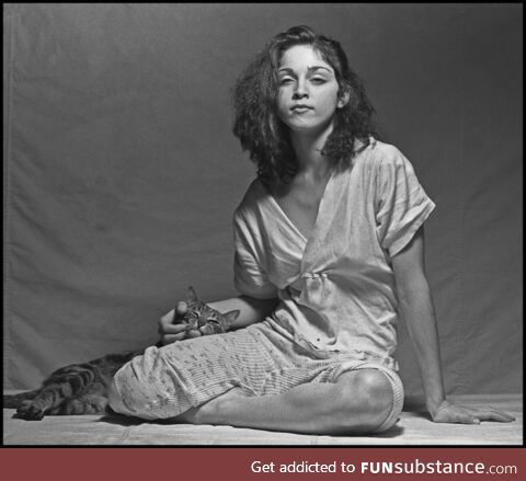 Love this photo of Madonna and cat, taken by Lee Friedlander, 1979