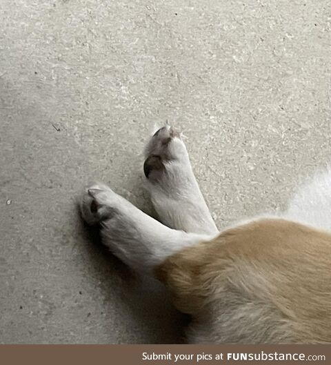 Super mini Erlang legs