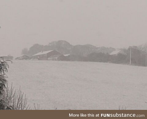 (OC) Spring in Yorkshire