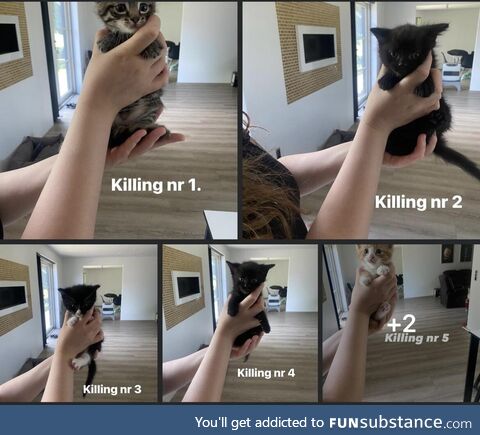 It means “kitten” in Danish