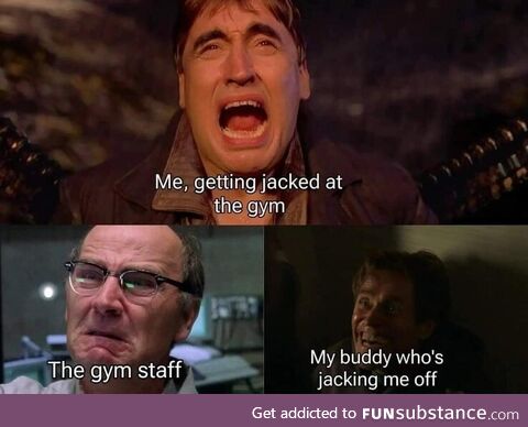 Verdant halting preserved