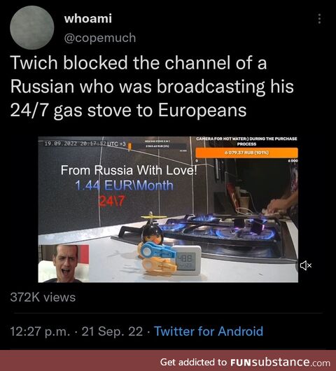 Mysterious Alligator