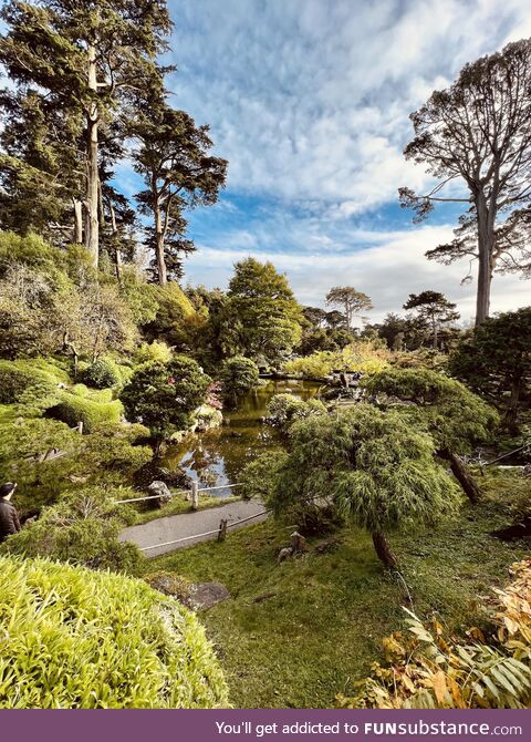 Japanese tea garden - san francisco