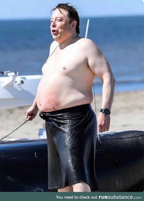 Elon is paying $10m to delete this photo from the Internet