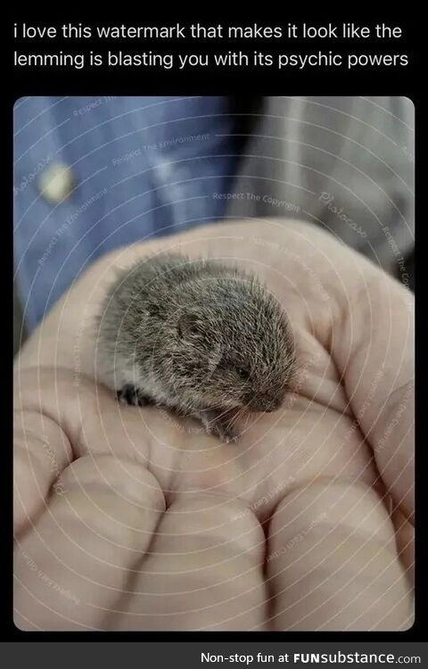 Pillaged insane ablaze