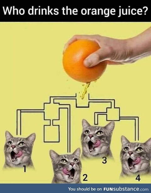 Cognitive checkpoint