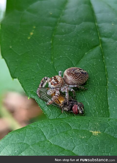 Playing in the garden