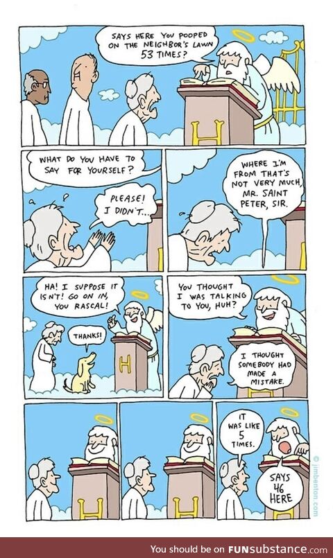 Zonked festive feminine