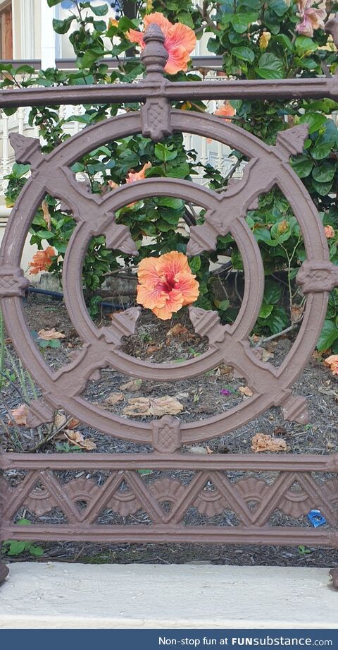 Appreciating something small at wheelchair height