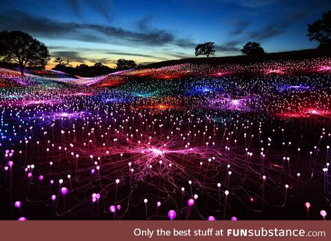 Field of Light at Sensorio by Bruce Munro