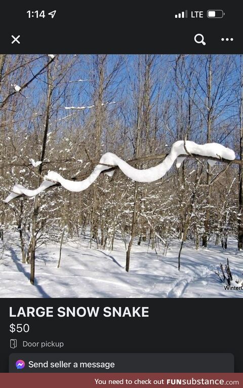 For sale: One large snow snake. Comes with free food!