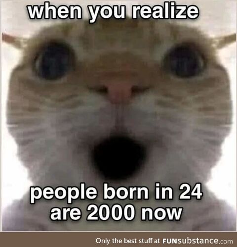 Evergreen regular crisp