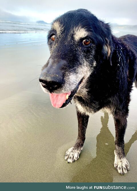 Emma turns 14 today and she’s as happy as ever. Of course the beach is her favorite