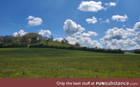 (OC) A vineyard in Yamhill Countyn Oregon