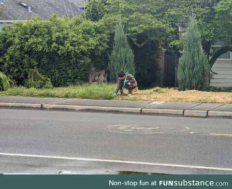 Neighbor spent the weekend trimming the grass with scissors