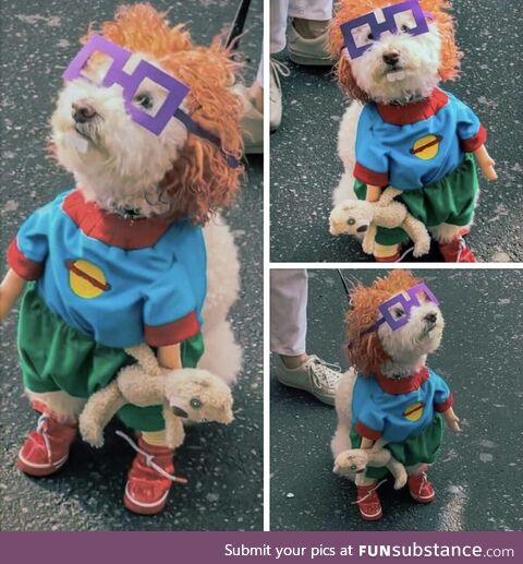 This dog dressed up as Chuckie from Rugrats