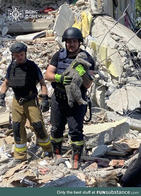 Myrnohrad: This cat's meowing got its owner to change rooms before an attack, they both