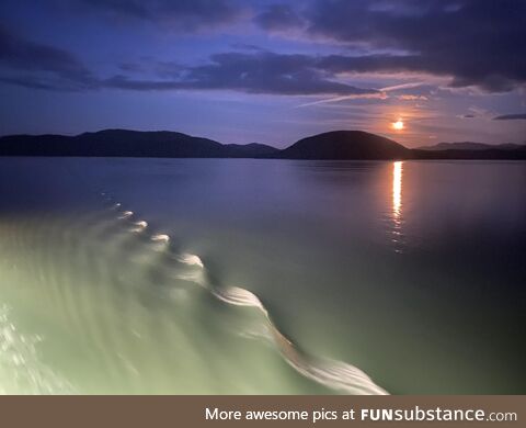 (OC) Alaska from our cruise ship