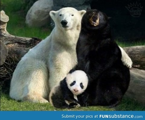 That's how pandas were made