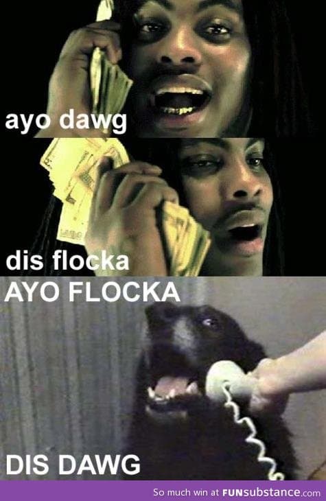 Flocka