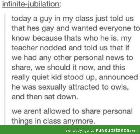 Owls