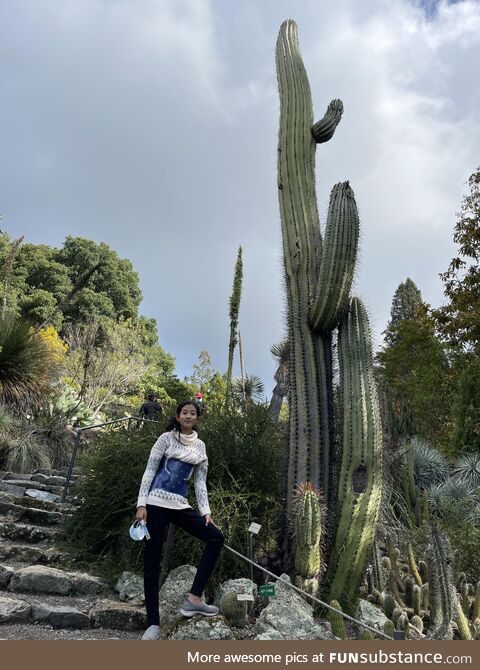 Visited the Berkeley Botanical Garden after getting out of the psych ward for SI. Proud