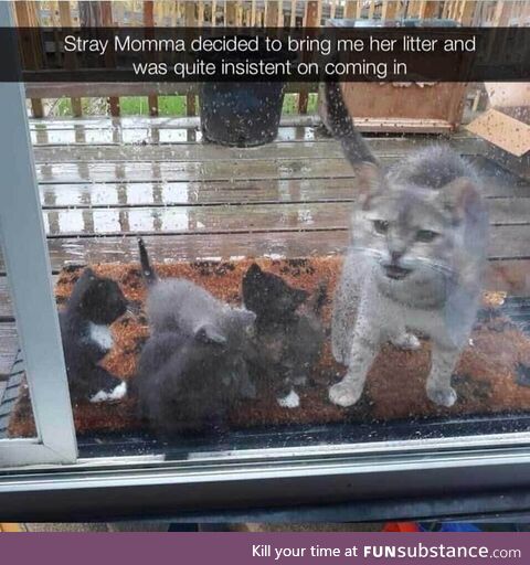 Excellent monarch blocked