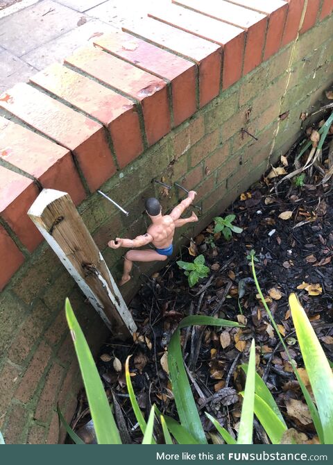 Someone put a naked Action Man wall climbing up these nails